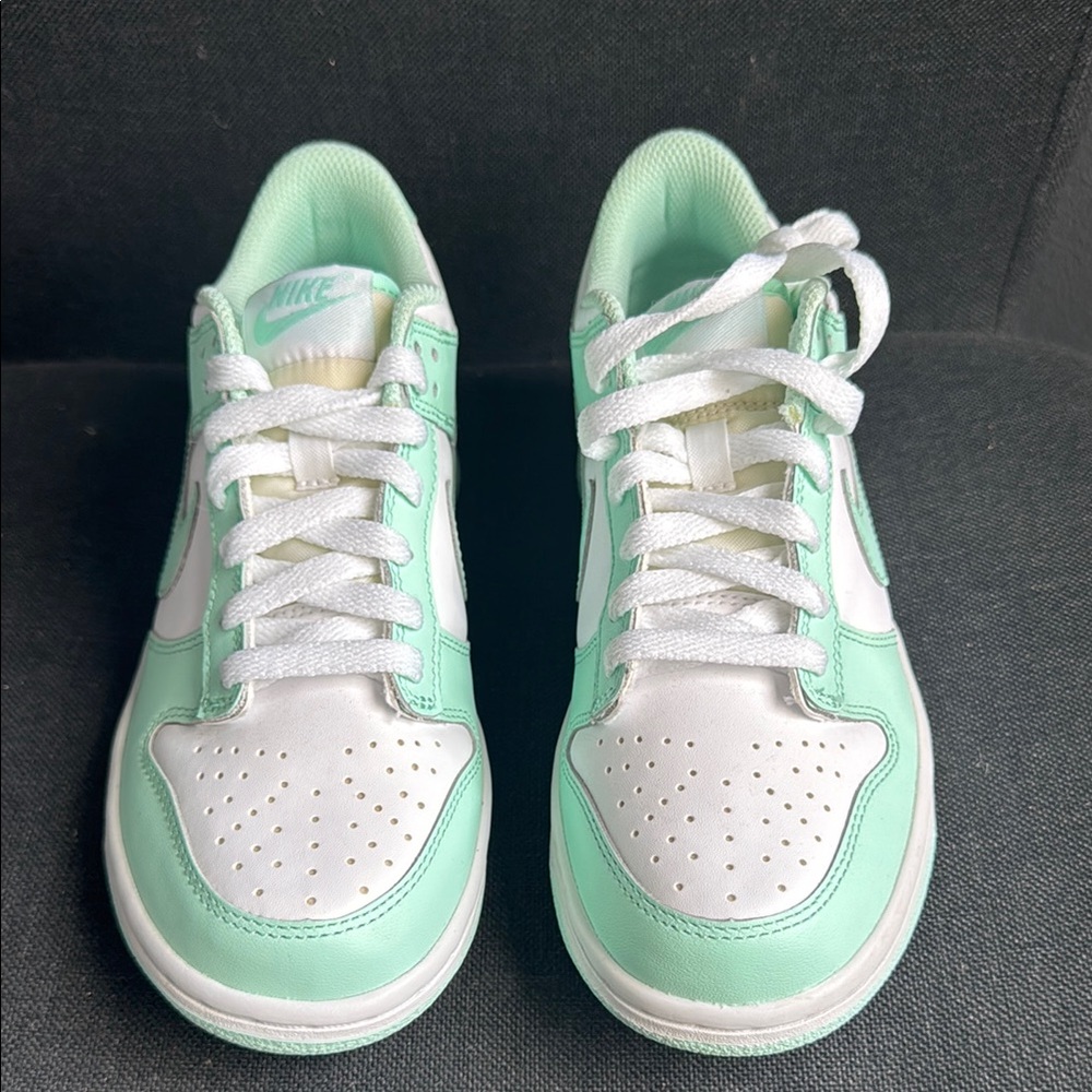 Nike Youth Dunk Low Fresh Green and White Sneakers